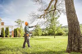 Best Lawn Grading and Leveling  in Hollister, CA